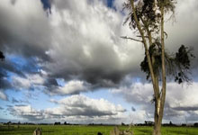 新星张子宇入选中国女篮短训营.