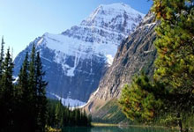 哈兰德伤情官宣！英超争4更乱了：7队差5分，曼城或无缘欧冠资格.