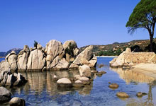 中国队获永川国际女锦标赛冠军.